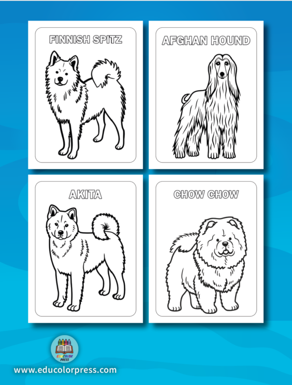 Dogs Around the World Coloring and Activity Book for Preschoolers - Image 2