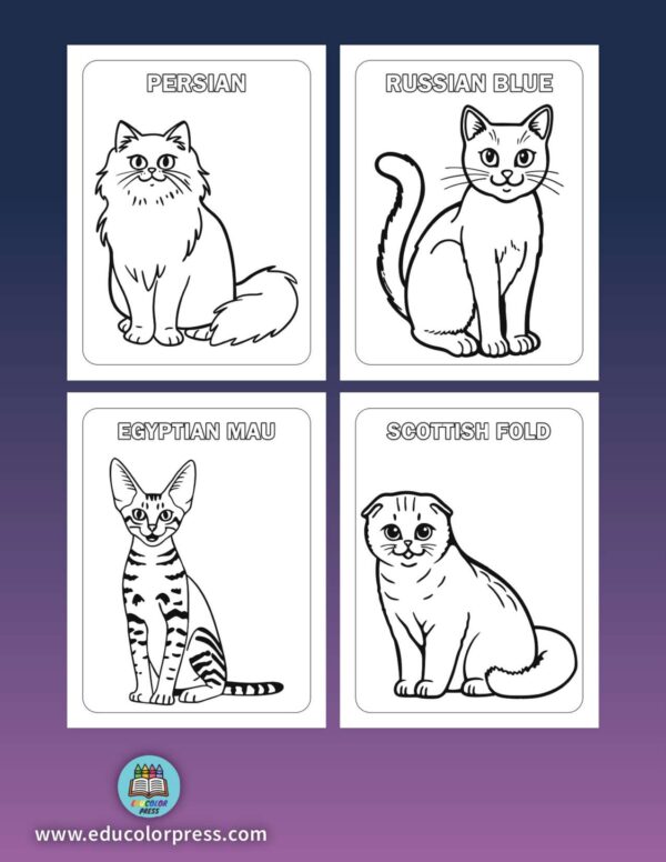 Cats Around the World Coloring and Activity Book for Preschoolers - Image 2