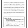 Dino Discoveries Coloring and Activity Book - Image 5