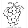 Bundle: Vegetables and Fruits Around the World - Image 9