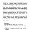 Cats Around the World: Coloring and Activity Book for Grades 4-6 - Image 8