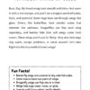 Under the Microscope Coloring and Activity Book - Image 7