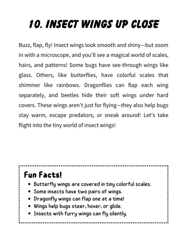Under the Microscope Coloring and Activity Book - Image 7